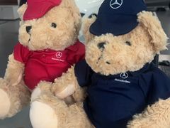 -北京鹏龙星徽AMG性能中心(潘家园店)