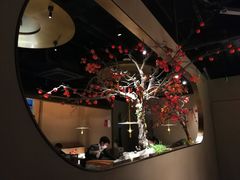 -佬肥猫(国华广场店)