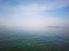 -演武大桥观景平台