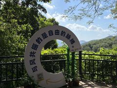 -呀诺达热带雨林