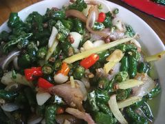 -东吴霸王兔(松青路店)