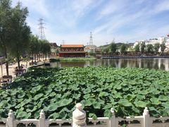 凌海花园温泉酒店-九华山酒店温泉