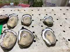 -大湾区中央湿地公园-十九涌