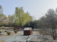 -莲花池公园
