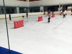 -炫采冰场(红博中央公园商场店)