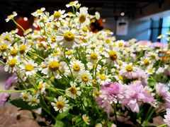 -UMe·玖觅(曲江店)