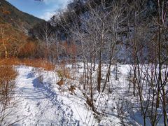 -秦岭风景区