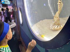 -烟台海昌鲸鲨海洋公园