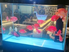-五丁桥光头香辣蟹(望江橡树林店)