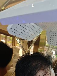 -碧莲盛·不剃发植发