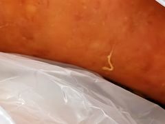 排骨肠-老杨家熟食店
