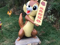 -欢乐松鼠谷