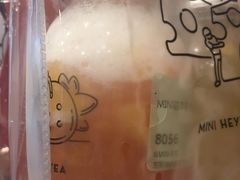 Mini四季春-喜茶(东莞雍华庭店)