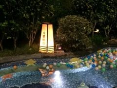 -杭州第一世界大酒店·云曼温泉