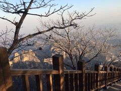 -狼牙山风景区
