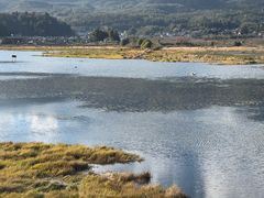 -腾冲北海湿地