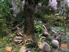 -陕西自然博物馆