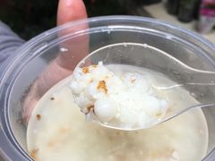 -潘玉麟糖粥