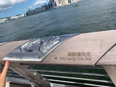 -星光大道