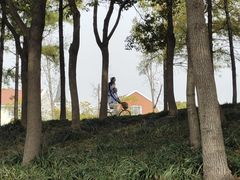 -美兰湖景区
