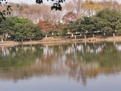 -番禺大夫山森林公园