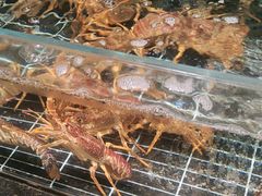 -浩运·海鲜青岛菜·海胆水饺(石老人店)