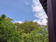 -东莞市可园博物馆