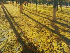-辽宁大学(崇山校区)