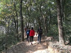 -灵岩山风景区
