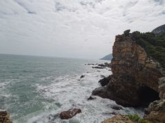 -杨梅坑