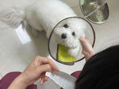 -瑞鹏宠物医院