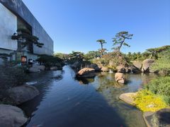 -罗红摄影艺术馆