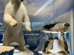 -国家自然博物馆