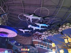 -烟台海昌鲸鲨海洋公园