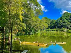 -深圳仙湖植物园