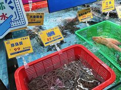 -79号渔船海鲜饭店(宝安店)