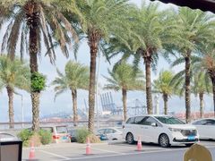 -新金盛·海鲜酒楼(盐田店)