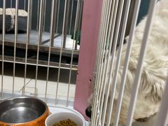 -宠着玩儿宠物生活馆