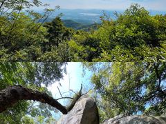 -广州市帽峰山景区