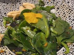 穿心莲-梧桐树下(云锦世家店)