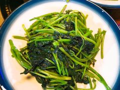 清炒红薯叶-七裕庄(凯旋南路店)