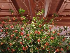 -八府香鸭·啫啫煲(华山路店)