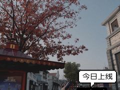 -迪士尼小镇
