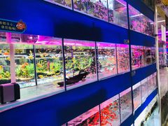 -三旗百汇商品城