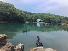 -南京珍珠泉风景区