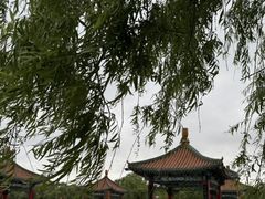 -长春市南湖公园