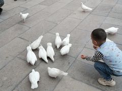 -西宁市人民公园(城西区)