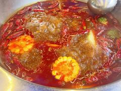 -金鼎雪山牦牛杂火锅(理县总店)