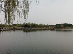 -溱湖国家湿地公园