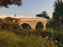 -大兴滨河森林公园